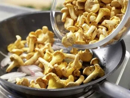 Főzni chanterelles egy serpenyőben, amelyek nem voltak gumi, és nem keserű - receptek Tejfölös,