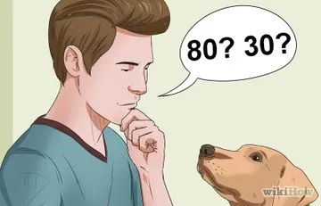 Hogyan hozzászoktatni a kutyát, hogy a karám (a kutya) Hogyan hozzászoktatni a kutyát a paddock