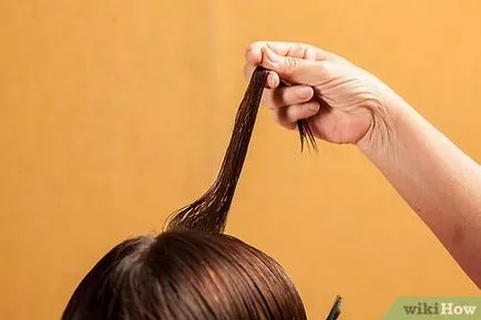 Hogyan kell alkalmazni a henna haj