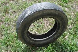 Hogyan készítsünk egy papagáj gumiabroncs lépésről lépésre