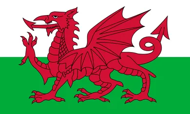 Hogyan kell létrehozni a megfelelő zászló vagy rossz (megkérdőjelezik a nemzeti zászló Ukrajna) Hogyan kell létrehozni a megfelelő zászló vagy rossz