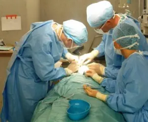 Wen squeeze elszállítani vagy kezelni (eltávolítás) Hogyan lehet eltávolítani a zsíros tumor squeeze vagy kezelésére