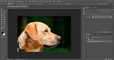 Hogyan lehet csökkenteni a tárgy Photoshop gyorsan és szakszerűen (tárgy) Hogyan lehet csökkenteni a tárgy Photoshop gyorsan és szakszerűen