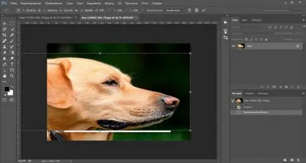 Hogyan lehet csökkenteni a tárgy Photoshop gyorsan és szakszerűen (csökkenti a Photoshop tárgy) Hogyan lehet csökkenteni a tárgy Photoshop gyorsan és szakszerűen