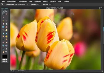 Hogyan lehet csökkenteni a tárgy Photoshop gyorsan és szakszerűen (csökkenése) Hogyan lehet csökkenteni a tárgy Photoshop gyorsan és szakszerűen