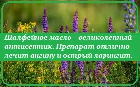 Hogyan használjuk Sage Hogyan használjuk Sage