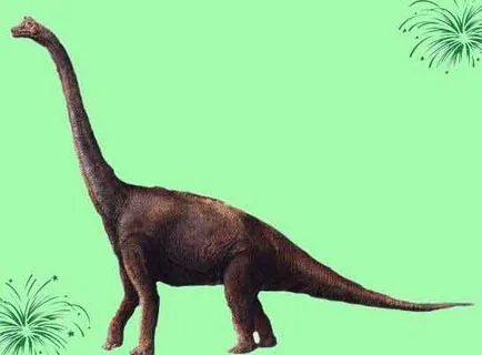 Hogyan alakult ki a dinoszauruszok
