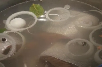 Főzni halak megfelelő főzés tippek (hal) Főzni halak megfelelő főzési tippeket