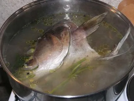 Főzni halak megfelelő főzés tippek (hogyan kell főzni a halat, hogyan kell főzni a halat, hogyan kell főzni a halat) Főzni halak megfelelő főzési tippeket
