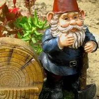 Hogyan kell hívni a gnome