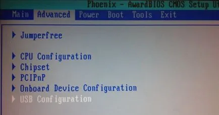 Hogyan kell beállítani a boot flash meghajtót a régi és a modern változatai a BIOS