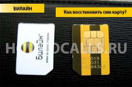Hogyan lehet visszaállítani a SIM-kártya Beeline - 4 módon visszaállítani sim kártya