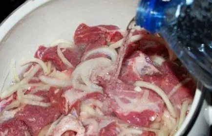 Hogyan pácolt húst shish kebab receptek, legjobb savanyúság