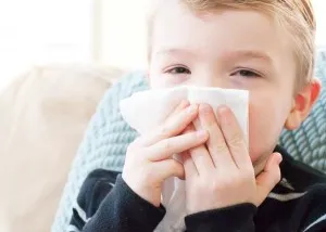 Kalanchoe a nátha a gyermekek számára használható, mikor és hogyan ez egy jó segítő a hideg (alkalmazni) Kalanchoe a nátha a gyermekek számára használható, mikor és hogyan ez egy jó segítő a hideg
