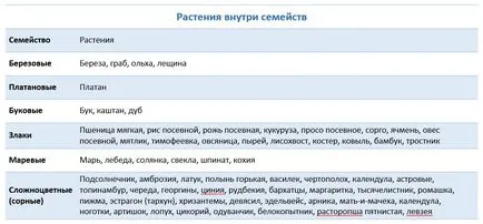 Naptár virágzás kapható 2017