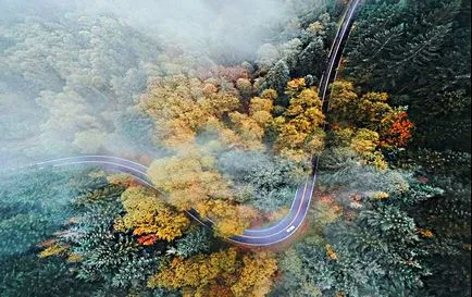 Hogy az állatok lásd a világot (lásd) Hogy az állatok látni a világot