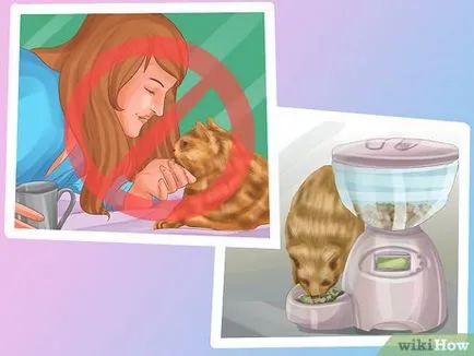 Hogyan készítsünk egy macska alszik melletted (cat) Hogyan készítsünk egy macska alszik melletted