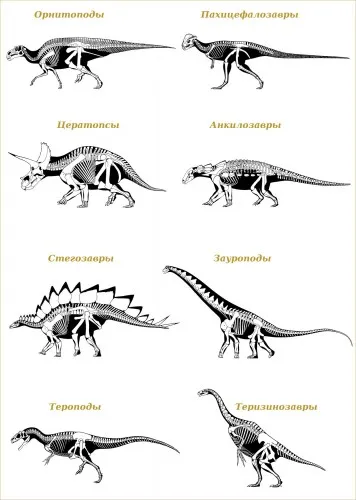 Képek dinoszauruszok nevezett