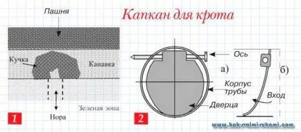 Csapdát vakondok a kezét (fotó néző), a kéz -, hogyan lehet a legjobban