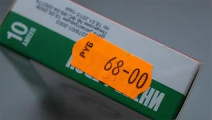 Keratitis kutyák tünetei és kezelési módszerek (fotó)