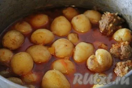Burgonya pörkölt fasírt - a recept egy fotó