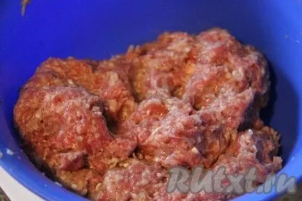 Burgonya pörkölt fasírt - a recept egy fotó