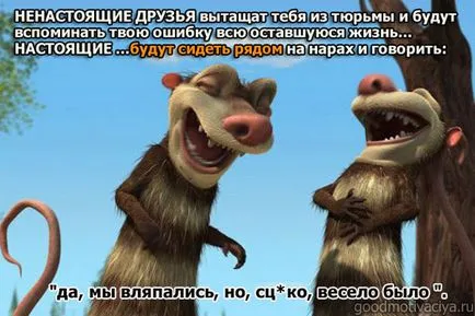 Képek a barátok egyfajta