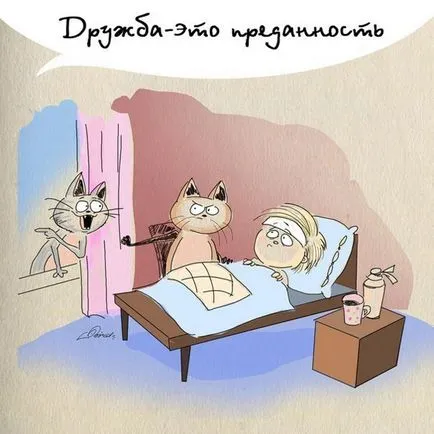 Képek a barátságról