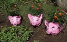 Virágoskert műanyag palackok példák dísztárgyak (díszítések) Ágyak műanyag palackok példák dekorációk