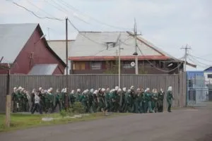 Colony település, hogy a fogvatartási körülmények Magyarországon, különös tekintettel a rendszer foglyok