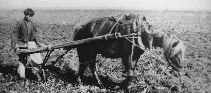 Mikor és ki megszüntette a jobbágy 1861-ben az oka