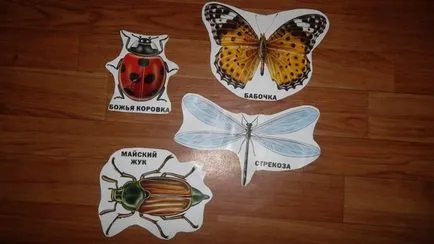 Áttekintés osztályok „, akik a rovarok (gyermek kézműves) Áttekintés osztályok „, akik a rovarok