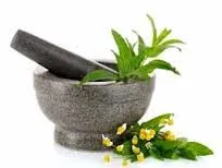 Kozmetikai Ayurveda, a természetes és az indiai ajurvédikus kozmetikai (ayurvédikus) Kozmetika Ayurveda, indiai és ajurvédikus természetes kozmetikumok