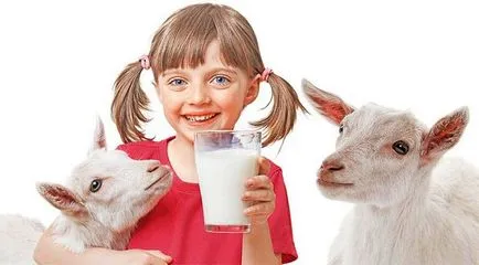 Kecsketej - 9 hasznos tulajdonságok és ellenjavallatok