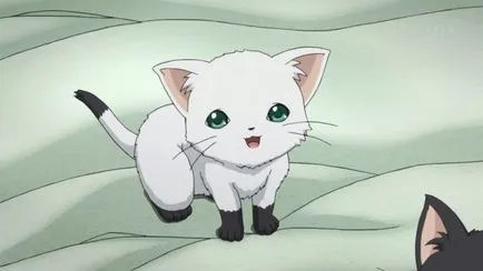 Gyönyörű képek anime macska (ceruza rajzok), a helyszínen „bögre”