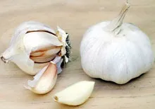 Csirke tejszínes recept csirke párolt tejszínes fokhagymás (csirke tejszínes fokhagymás) Csirke tejfölös recept csirke pörkölt fokhagymás tejföl