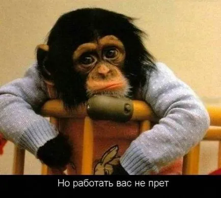 Rövid útmutató, hogyan kell megfelelően működik pénteken)))
