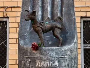 Laika az első kutya az űrben