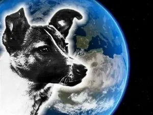 Laika az első kutya az űrben