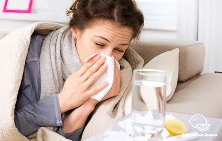 Influenza kezelése népi jogorvoslati lehetőség (eszközök) Influenza kezelése népi jogorvoslati lehetőség
