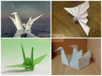 Swan papírból, hogyan lehet a saját kezét