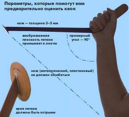 Kwok saját kezét fogása harcsa szeretnék csinálni videokalauzban
