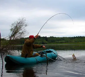 Pike halászati spinning tavasszal, nyáron és ősszel, meg egy hely a horgászat, a kiválasztás a hajtómű és a csali (fonás) Pike halászati spinning tavasszal, nyáron és ősszel, meg egy hely a horgászat, a kiválasztás a hajtómű és a csali