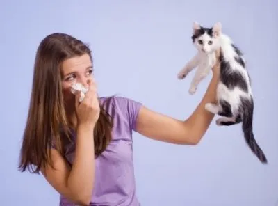 Kezelése vazomotoros rhinitis, valamint mint a jogot a gyermek és felnőtt