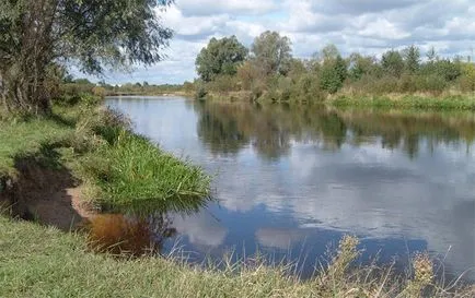 Ragályos Harcsa áttekintést az összes felszerelés, csali és a halászati módszereket (halászat) Ragályos Harcsa áttekintést az összes felszerelés, csali és a halászati technikák