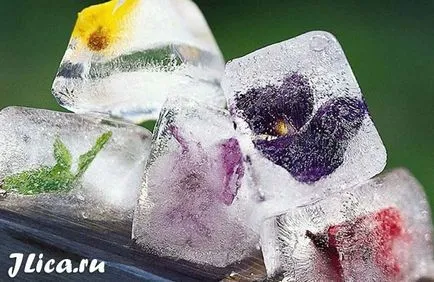 Ice 21 fő recept és hogyan törölje le a bőrt (recept) Ice 21 fő recept és hogyan törölje le a bőrt megfelelően
