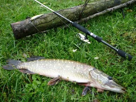 Pike halászati spinning tavasszal, nyáron és ősszel, meg egy hely a horgászat, a kiválasztás a hajtómű és a csali (tavaszi) Pike halászati spinning tavasszal, nyáron és ősszel, meg egy hely a horgászat, a kiválasztás a hajtómű és a csali