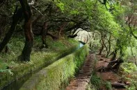 Madeira - az összes információt a szigeten található, látványosság