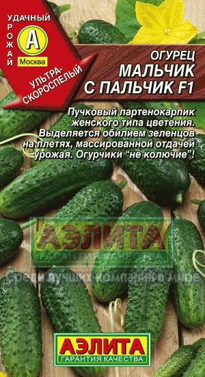 A legjobb fajta uborka pácolás és a tokozás - részletes beszámolót!