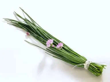 Hagyma metélőhagyma - mi ez hagyma snidling termesztés vetőmagok, a talaj jellemzői és leírás (mag) Hagyma metélőhagyma - mi ez hagyma snidling termesztés vetőmagok, a talaj jellemzői és leírás